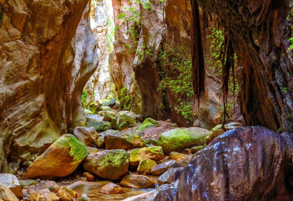Avakas Gorge by E-Bike – A Ride into Cyprus’ Wild Side